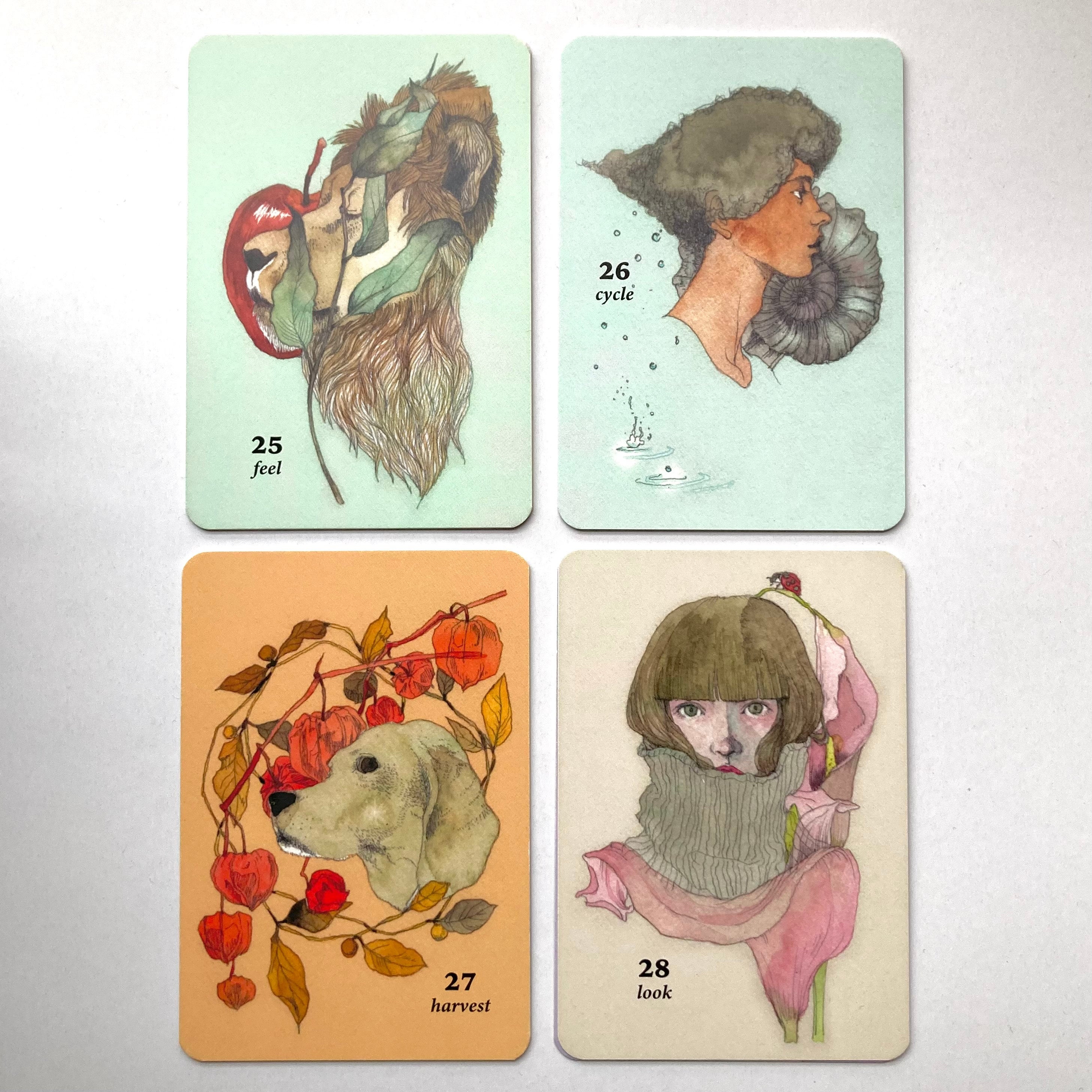 オラクルカードPERFECT SCHEMEセット，オザワミカ オリジナルオラクルカード 「PERFECT SCHEME」＜拡張パック＞（2024年1