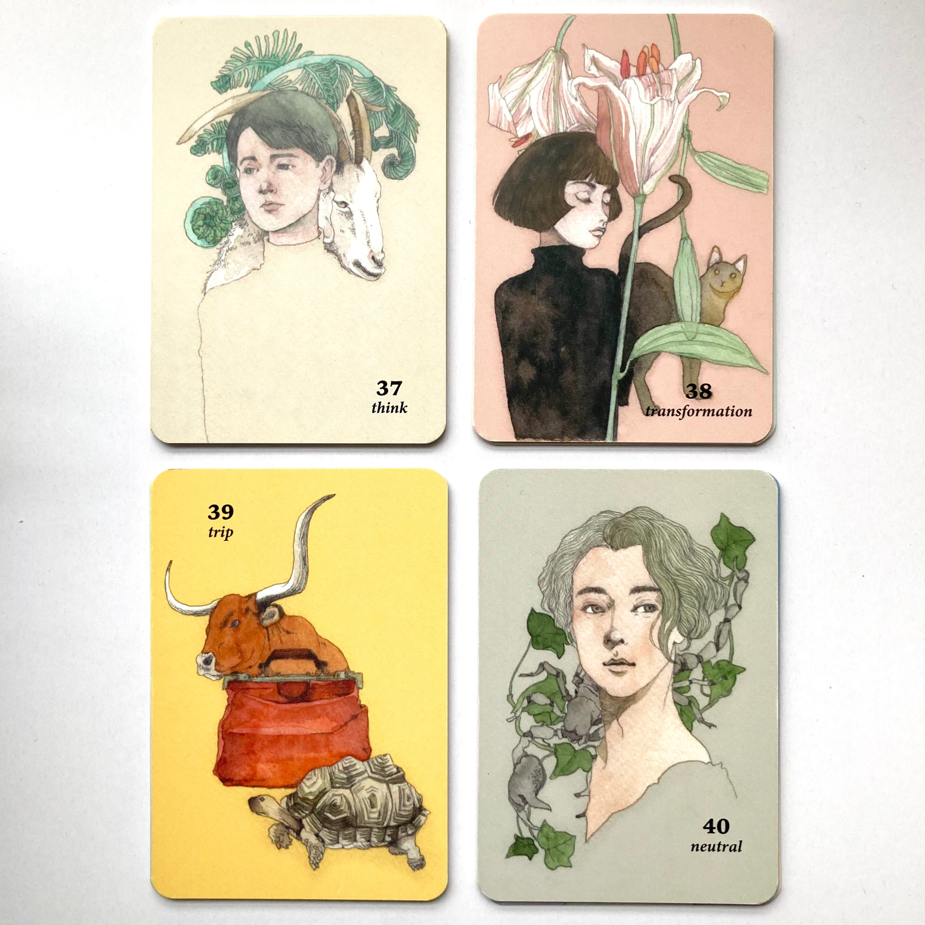 オラクルカードPERFECT SCHEMEセット，オザワミカ オラクルカードPERFECT SCHEMEセット，オザワミカ オリジナルオラクル